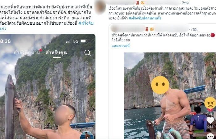 Jagged! Foreign tourists show off Caught a bunch of parrotfish in Phi Phi Island, ignoring Thai law