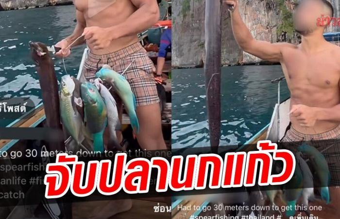 Jagged! Foreign tourists show off Caught a bunch of parrotfish in Phi Phi Island, ignoring Thai law
