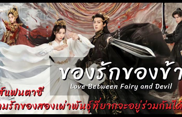 Review of my love – Love Between Fairy and Devil fantasy series The love of two races that is difficult to coexist.