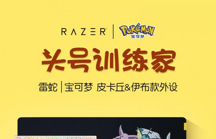 Razer, the famous gaming brand, has teamed up with Pokemon to launch a cute gaming chair in Pikachu and Eevee designs.