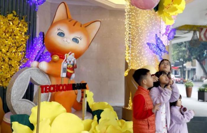 Why Chinese New Year this year? It’s the Year of the Cat in Vietnam – BBC News Thailand