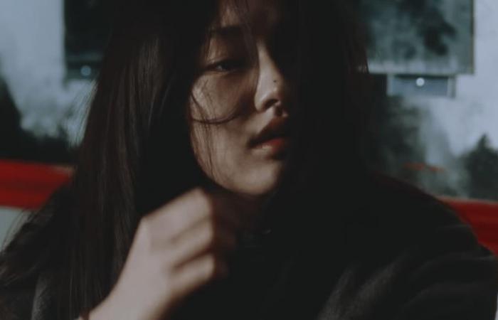 Who is she? The female model in the concept trailer clip of ENHYPEN caught attention. In a visual similar to ‘Jeon Ji Hyun’